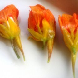 Stuffed Nasturtium Flowers recipe
