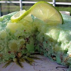 Lime Soda Pudding recipe