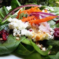Feta and Red Onion Spinach Salad recipe