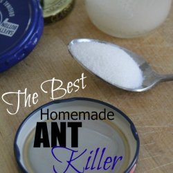 Homemade Ant Killer recipe
