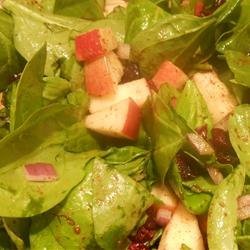 Thanksgiving Spinach Salad recipe