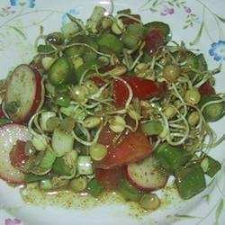 Sprouted Lentil Salad recipe