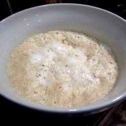 Sourdough (Feed and Starter) recipe