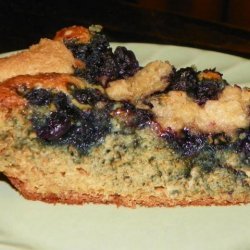 Blueberry Coffee Cake-You Won't Even Know That It's Healthy! recipe