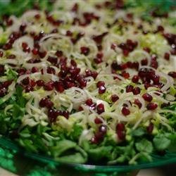Winter Endive Salad recipe