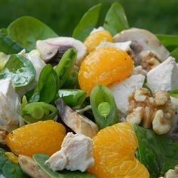 Turkey and Citrus Salad recipe