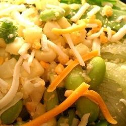 Zesty Garden Salad recipe