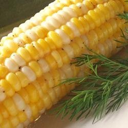 Garlic Corn on the Cob recipe