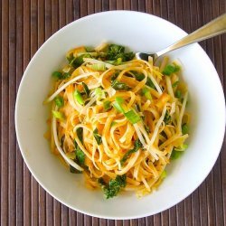 Spicy Coconut Noodles recipe