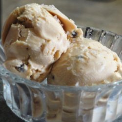 Sea Salt Dulce De Leche Ice Cream (Ice Cream Maker) recipe