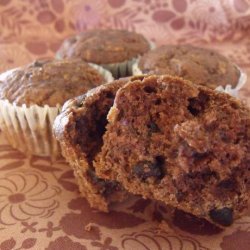 Double Chocolate Zucchini Muffins recipe