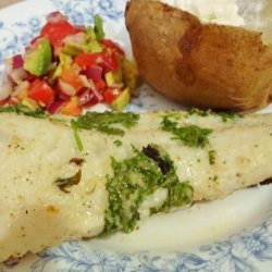 Marinated Sea Bass With Cilantro and Ginger recipe