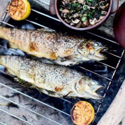 Grilled Trout recipe