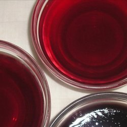 Pomegranate (or Cranberry) Gelatin recipe