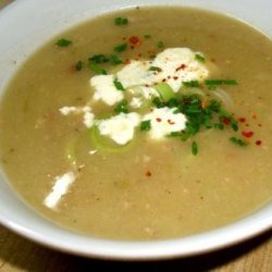 Terra Cream of Leek Soup recipe