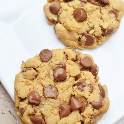 Chocolate Peanut Butter Chip Cookies recipe