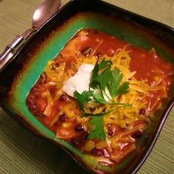 Vegetarian Tortilla Stew recipe
