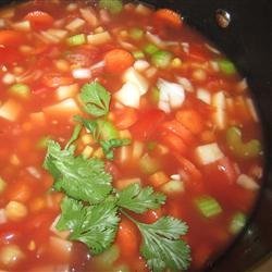 Hearty Vegetable Soup recipe