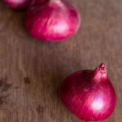 Onion Paratha recipe