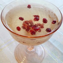Pomegranate Cranberry Champagne Cocktail recipe