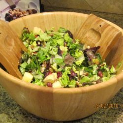Apple Cranberry Raisin Salad recipe