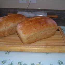Light Whole Wheat Bread (Bread Machine) recipe