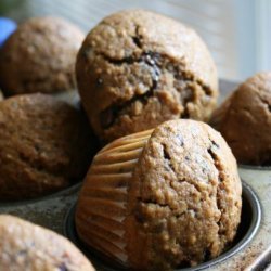 Mocha Muffins With Chocolate Chips and Pecans recipe