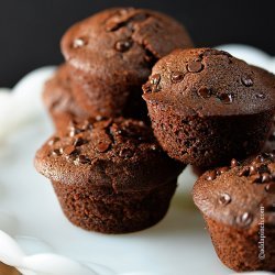 Chocolate-chocolate Chip Muffins recipe