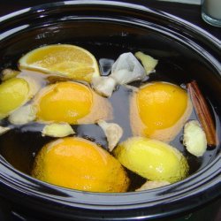 Crock Pot Spiced Apple Cider recipe