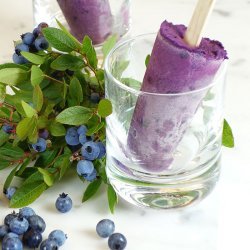 Blueberry Frozen Yogurt recipe