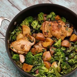 Chicken and Vegetable Casserole recipe