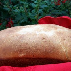 Sourdough Brown Bread recipe