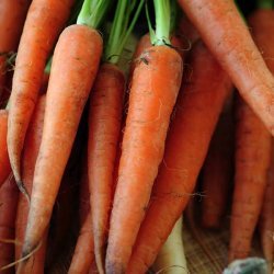 Carrot Marmalade recipe
