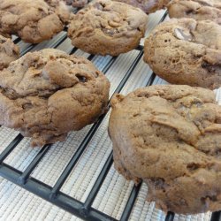 Chocolate Chip Molasses Cookies recipe