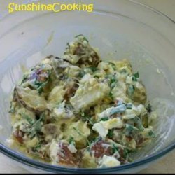 Solar Cooked German Style Potato Salad recipe
