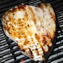 Grilled Swordfish recipe