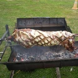 Barbecued Pig recipe