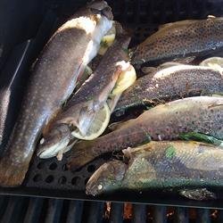 Whole Grilled Trout recipe