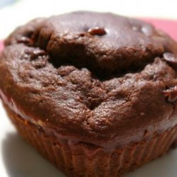 Chocolate Chocolate Chip Cupcakes recipe