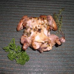 Roasted, Herbed Baby Chickens recipe