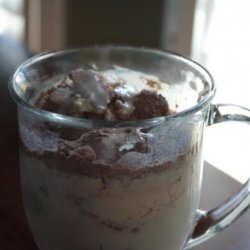 Vanilla Ice Cream With Sweet Cocoa Crystals recipe
