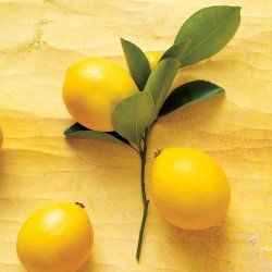 Lemony Cream Cheese Fruit Dip recipe