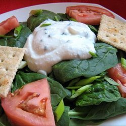 Nyte's Low-Fat Salad/Potato Salad Dressing recipe
