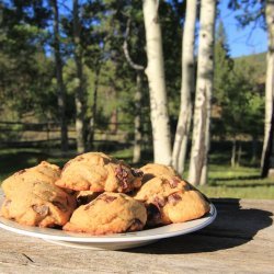 Buffalo Chip Cookies recipe