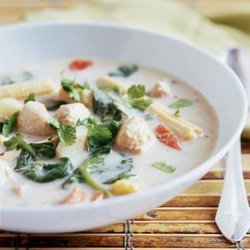 Singapore Chicken Stew recipe