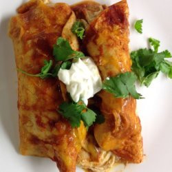 Quick and Easy Chicken Enchiladas recipe