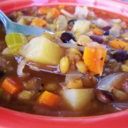 Easy Tasty Hearty Lentil Black Bean Stew recipe