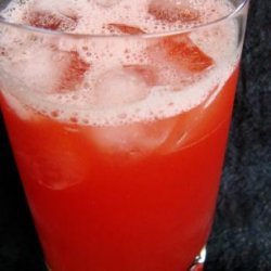 Blood Orange Cocktail recipe