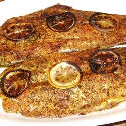 Broiled Spanish Mackerel recipe