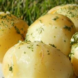 Lengenberg's Boiled Potatoes recipe